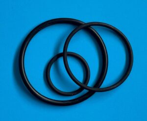 Kalrez Seals for Filter Housings