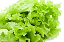 Ein Filter zum Schutz eines Analysegeräts für den Chlorgehalt – auf Salat!