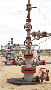 Wellhead - filters for wellhead control panel (WHCP) applications