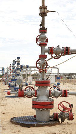 Wellhead-configuratieschermfilters (WHCP-filters)